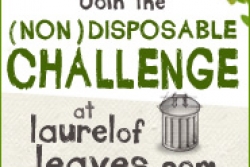 Don’t Be Disposable (A Challenge)