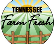 Eating Out with a Conscience