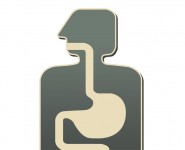 Fasting Improves Digestion