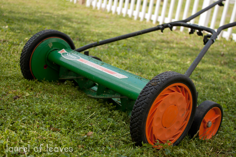 Reel Mower Reel Mower