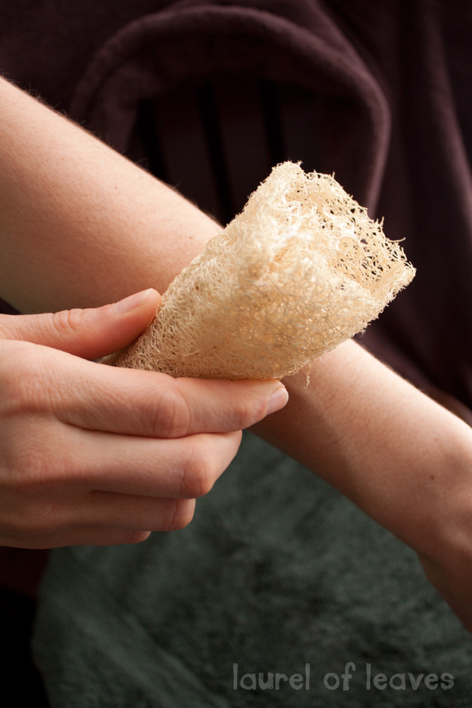 How to Dry Brush Your Body